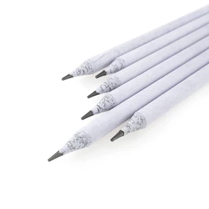 Crayon bio
