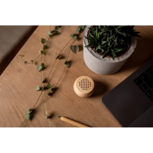 Haut-parleur sans fil en bois 3W Mae -wood