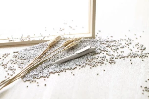 Stylo à bille ETNO - beige